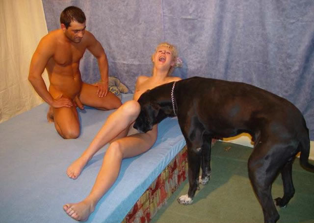640px x 456px - Taboo Workshops ::. Brother and sister love hot sex with dog