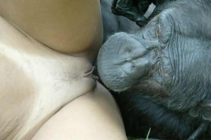Woman Has Sex With Chimp - Taboo Workshops ::. Two hot lesbians fuck with a chimpanzee on a private  ranch