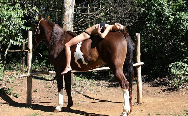 640px x 396px - Taboo Workshops ::. Young Brazilian girl shows how to fuck a horse