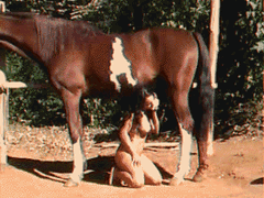 Hot horse cum in the mouth of a...