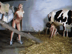 Klara and Rita fuck with a cow.