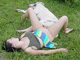 Outdoors dog sex party