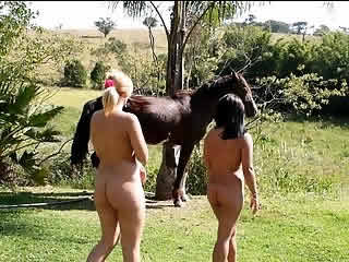 Two milfs from Germany try horse...