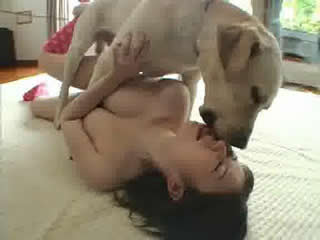 Dog licks young japanese girl
