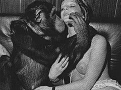Animal sex party with chimpanze